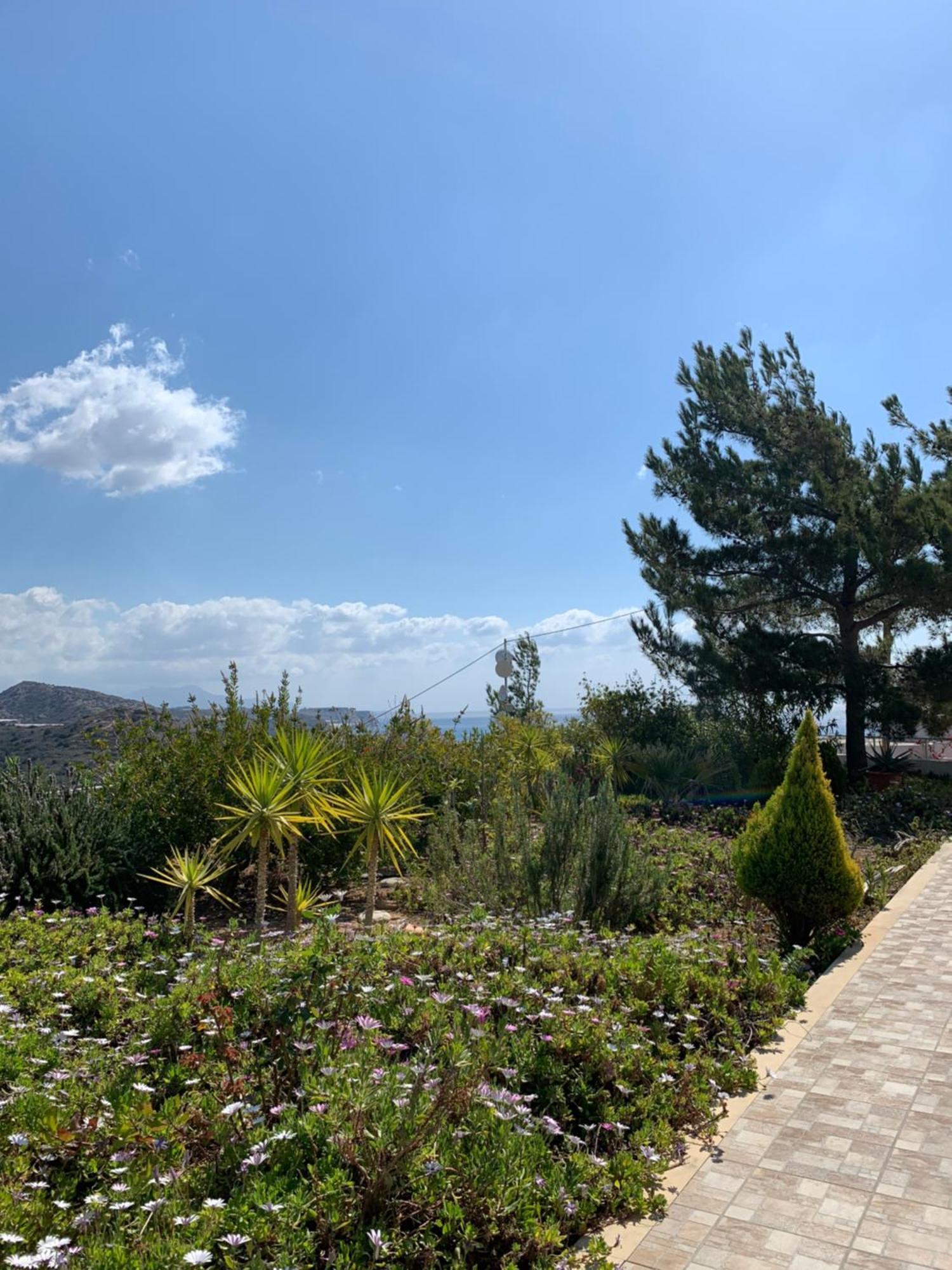 Villa Aliki Myrtos Exterior foto