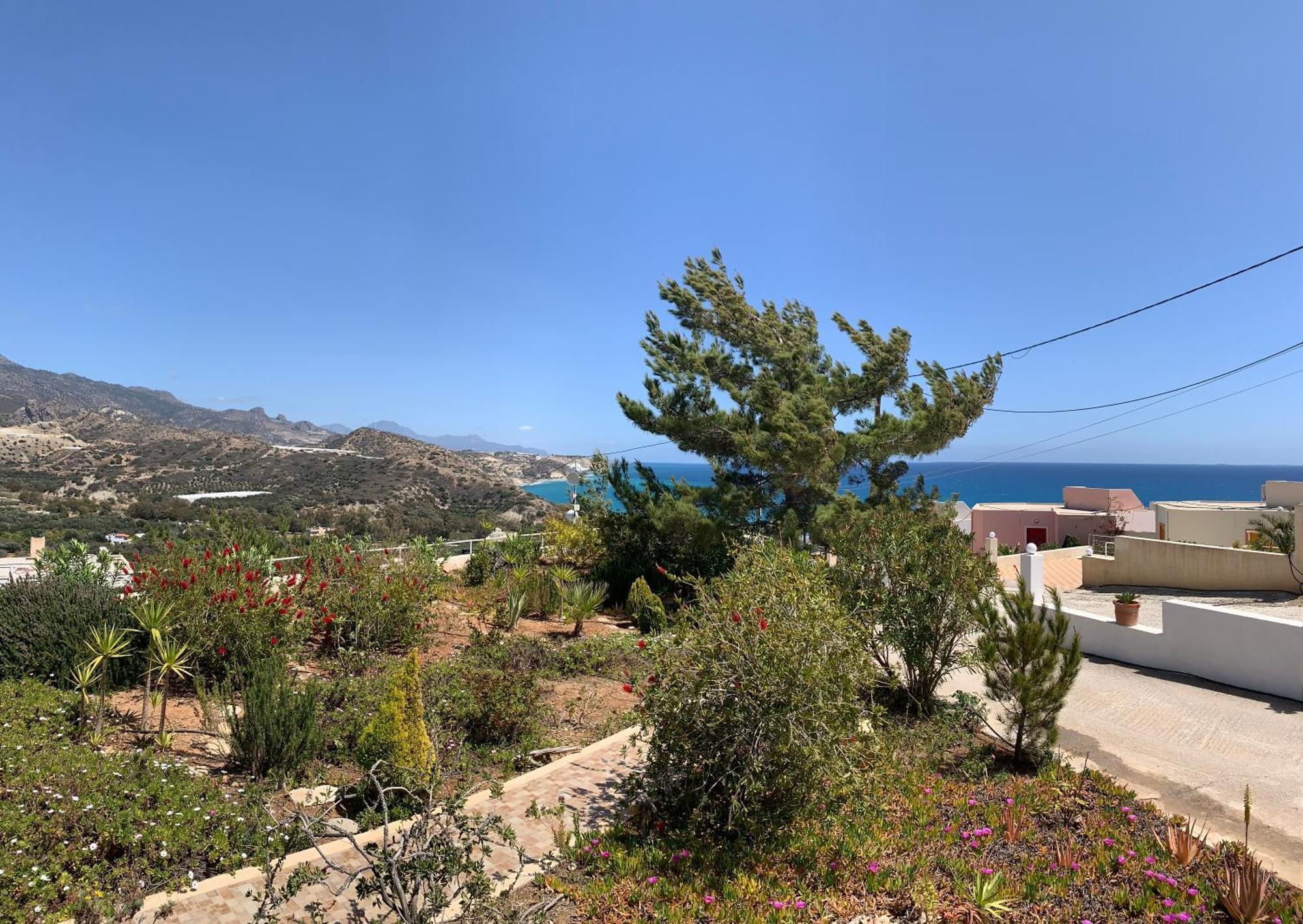 Villa Aliki Myrtos Exterior foto