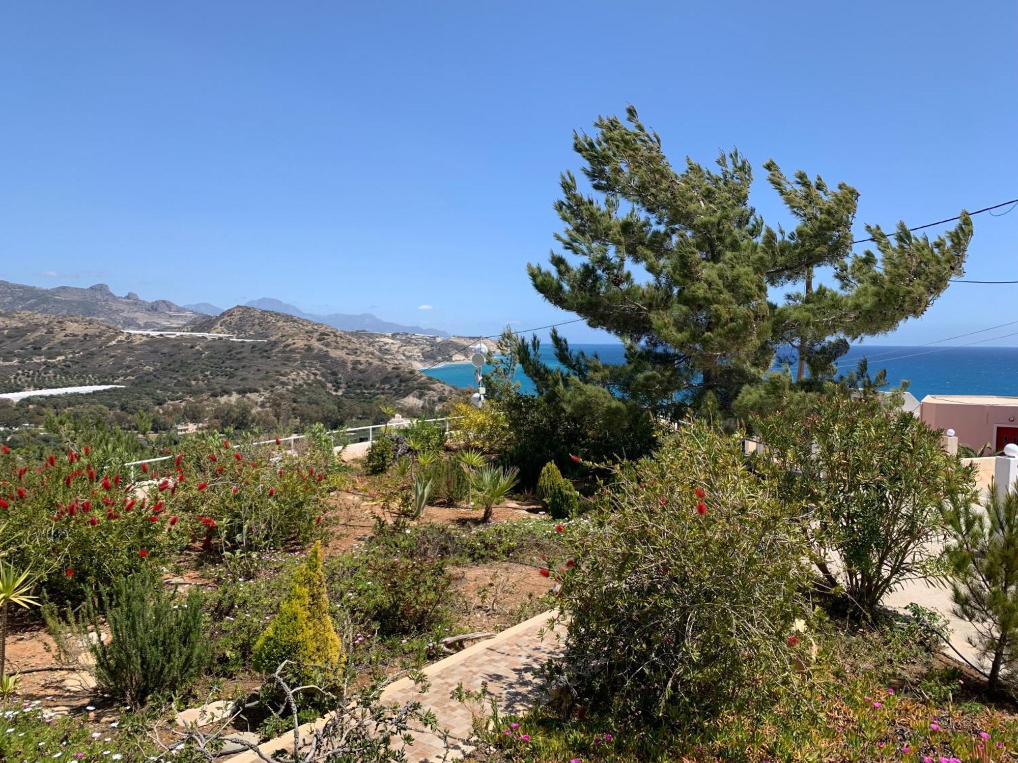 Villa Aliki Myrtos Exterior foto