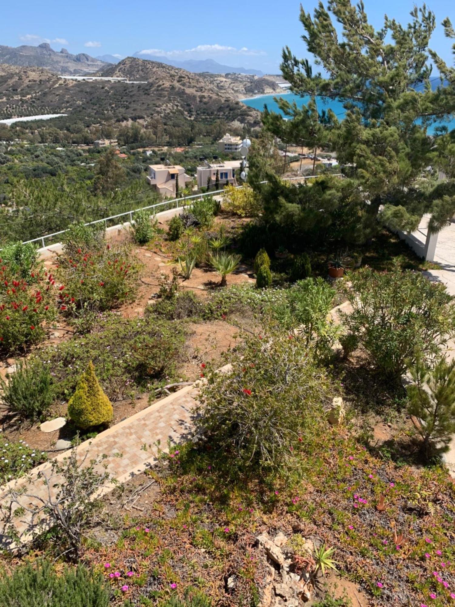 Villa Aliki Myrtos Exterior foto