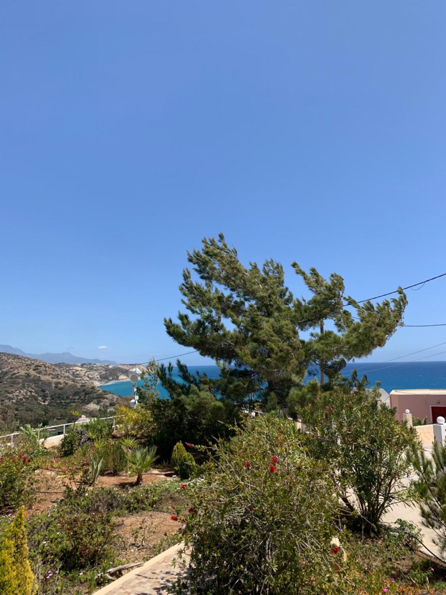 Villa Aliki Myrtos Exterior foto