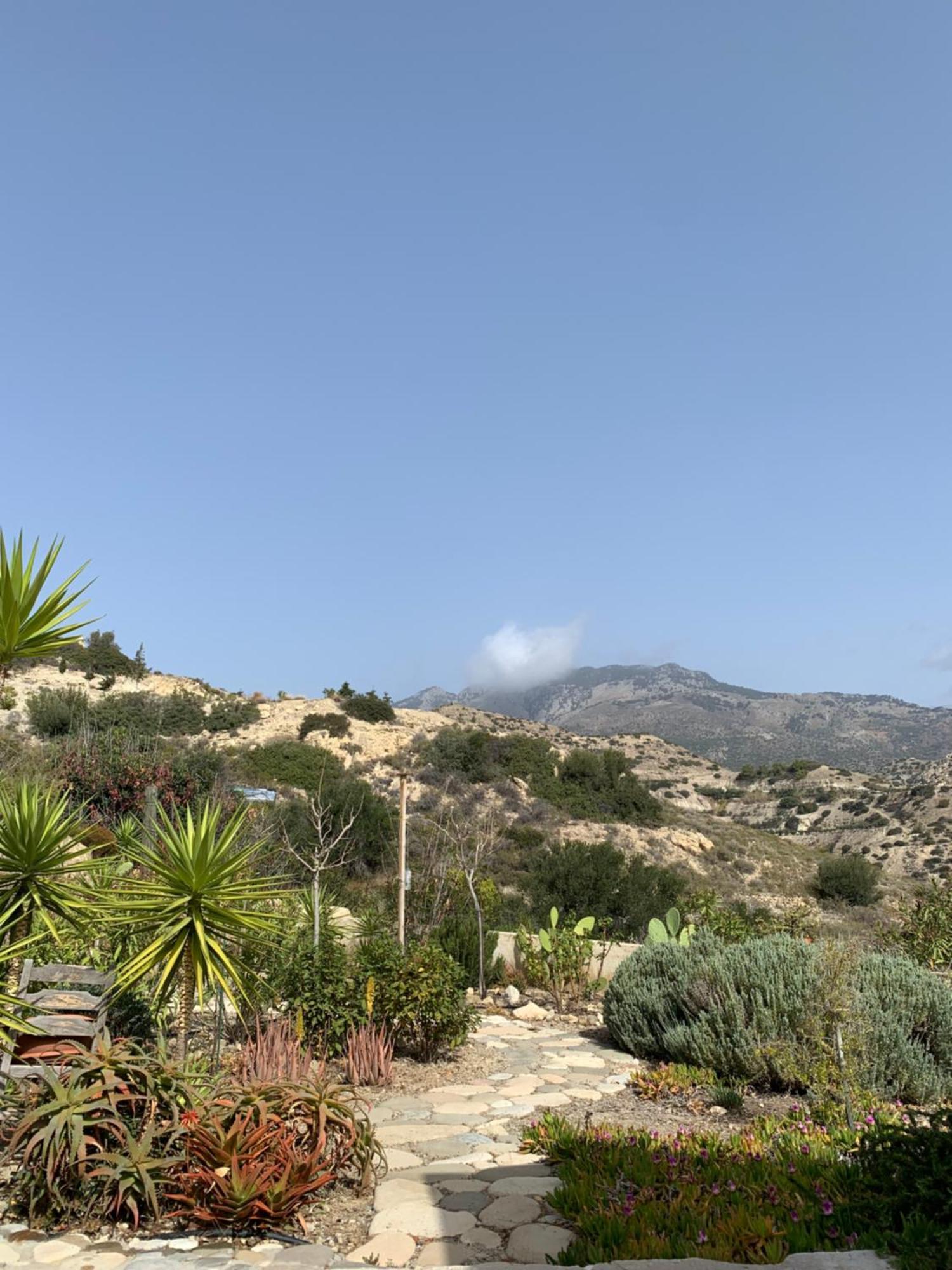 Villa Aliki Myrtos Exterior foto